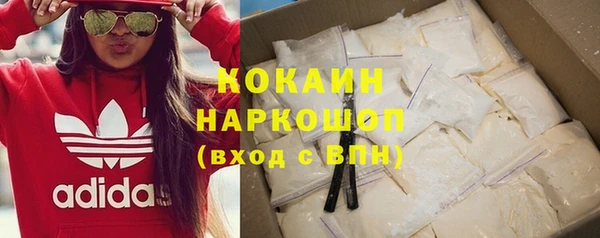 индика Кукмор