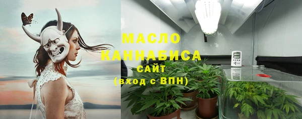 индика Кукмор