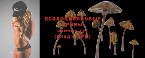 индика Кукмор
