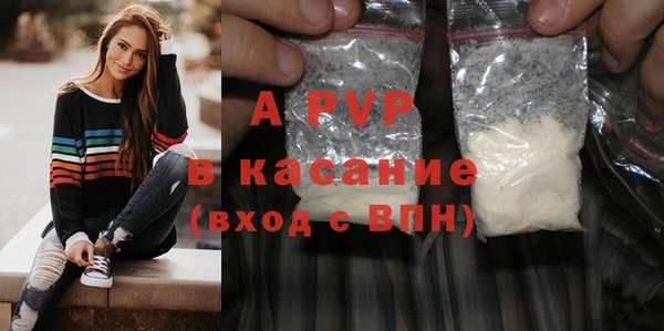 индика Кукмор