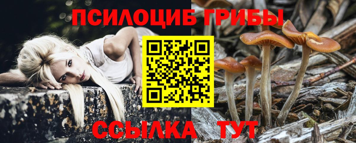 Псилоцибиновые грибы ЛСД  Галлюциногенные грибы ЛСД  Тайшет 