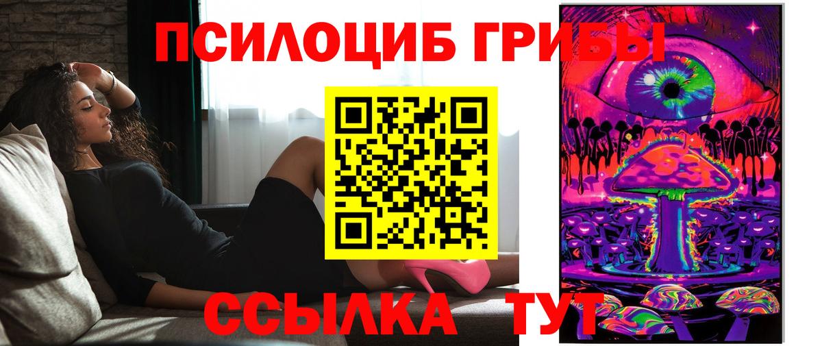 Тайшет  Галлюциногенные грибы GOLDEN TEACHER  Вход с VPN 