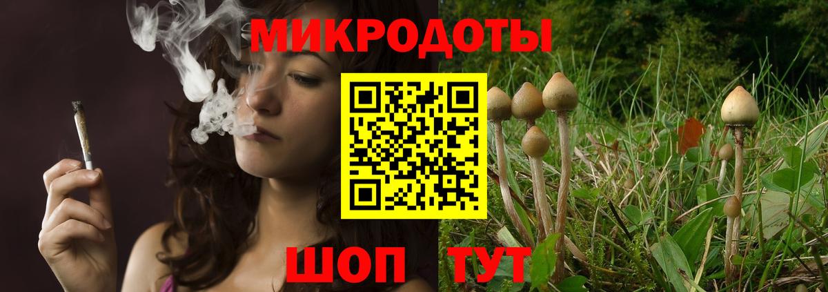 Галлюциногенные грибы ЛСД Тайшет